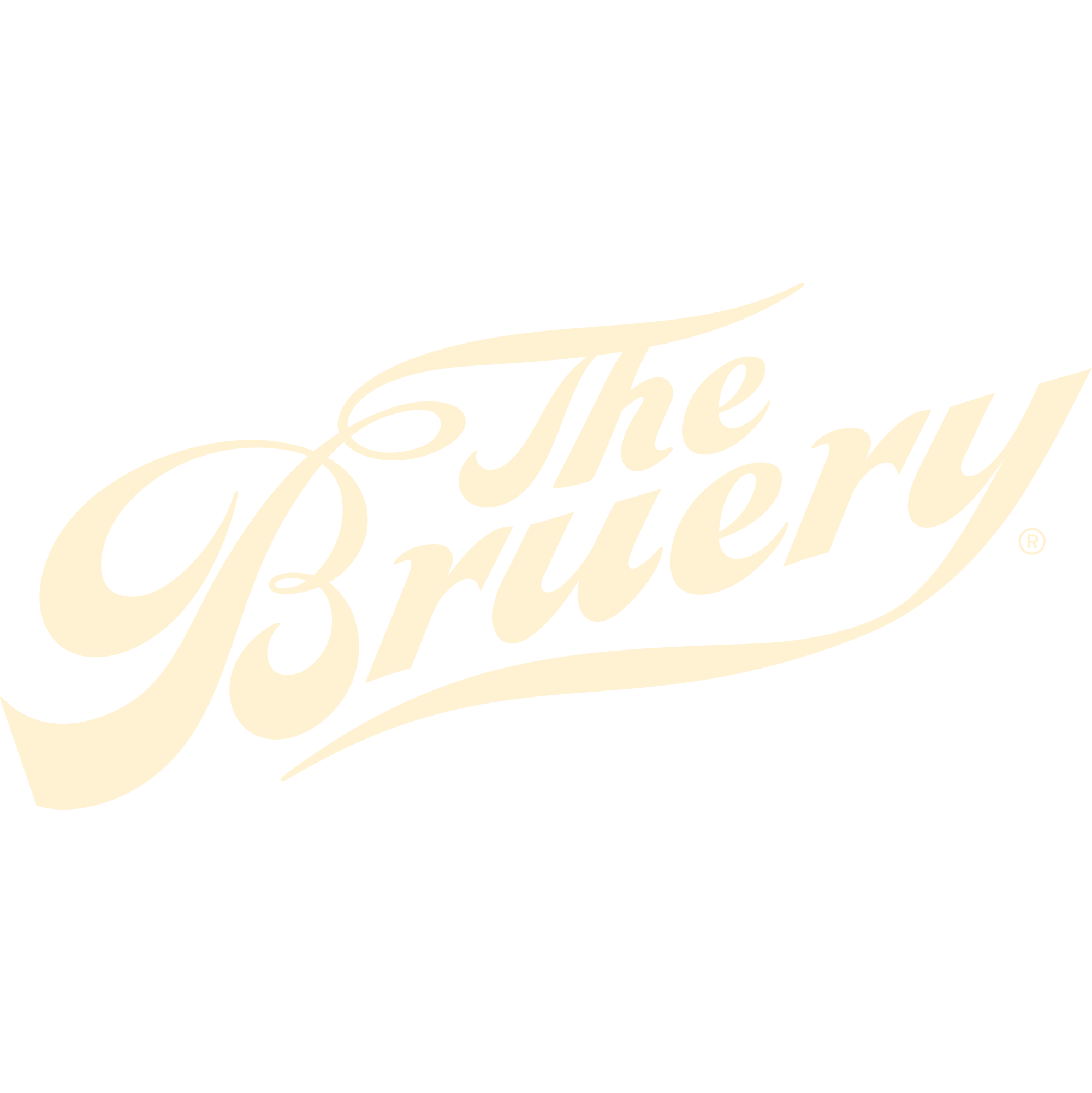 The Bruery logo